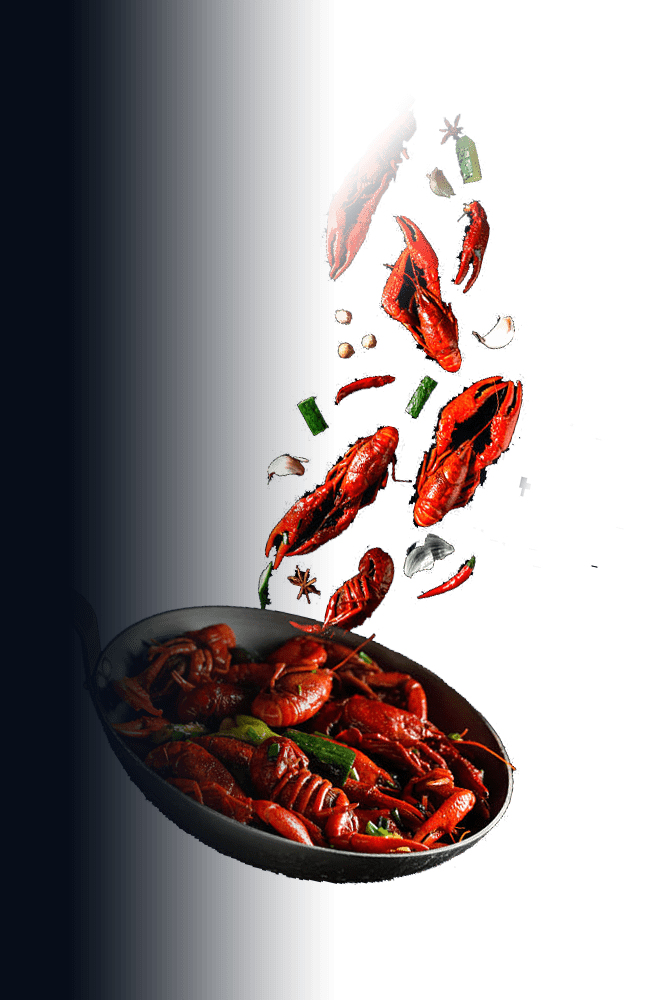 Top Domestic Tour Packages from Delhi for the Weekend