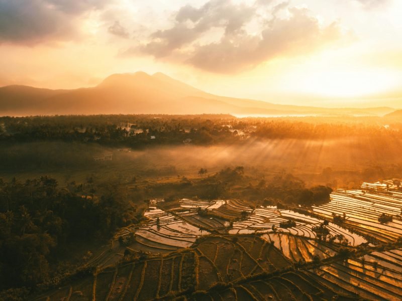 A breathtaking aerial view of sunlit rice terraces and misty mountains in Bali at sunrise.